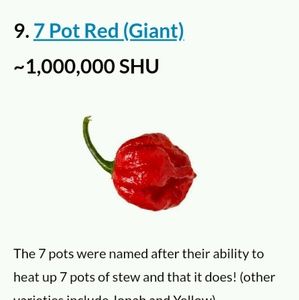 Meet your Posher, Meagan